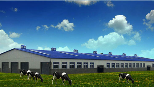 �������š�yl8cc(�й���)�ٷ���վ