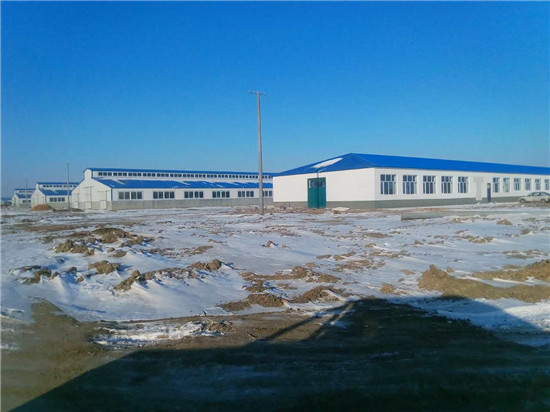 �������š�yl8cc(�й���)�ٷ���վ