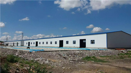 �������š�yl8cc(�й���)�ٷ���վ