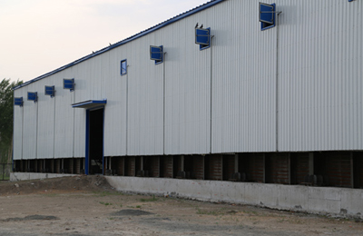 �ں�������ǽ