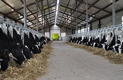 ������ҵ