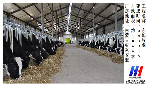 �������š�yl8cc(�й���)�ٷ���վ