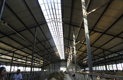 ��������ţ��ֳ���ṹ