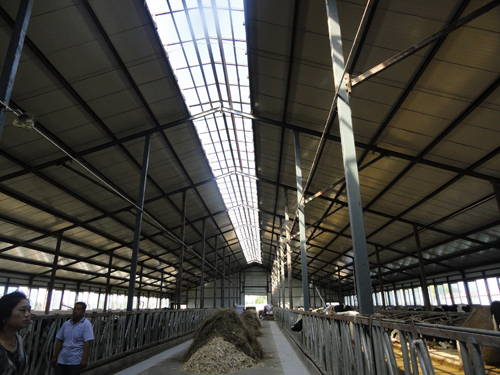 �������š�yl8cc(�й���)�ٷ���վ