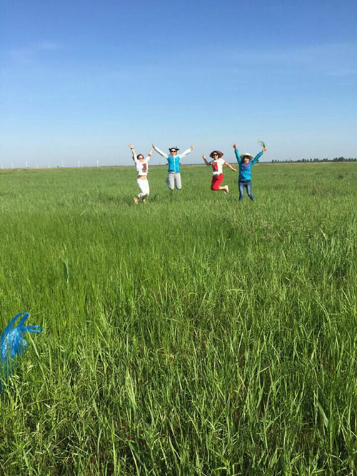 �������š�yl8cc(�й���)�ٷ���վ