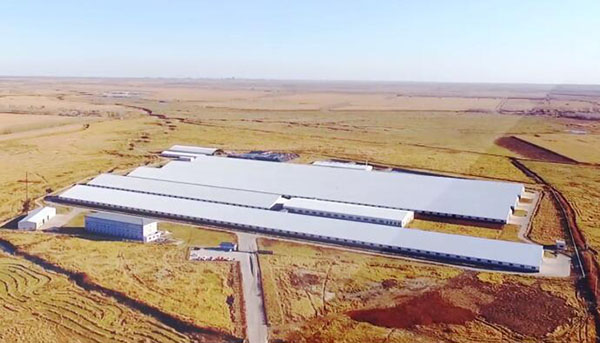 �������š�yl8cc(�й���)�ٷ���վ