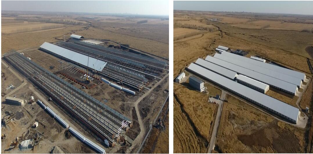 �������š�yl8cc(�й���)�ٷ���վ