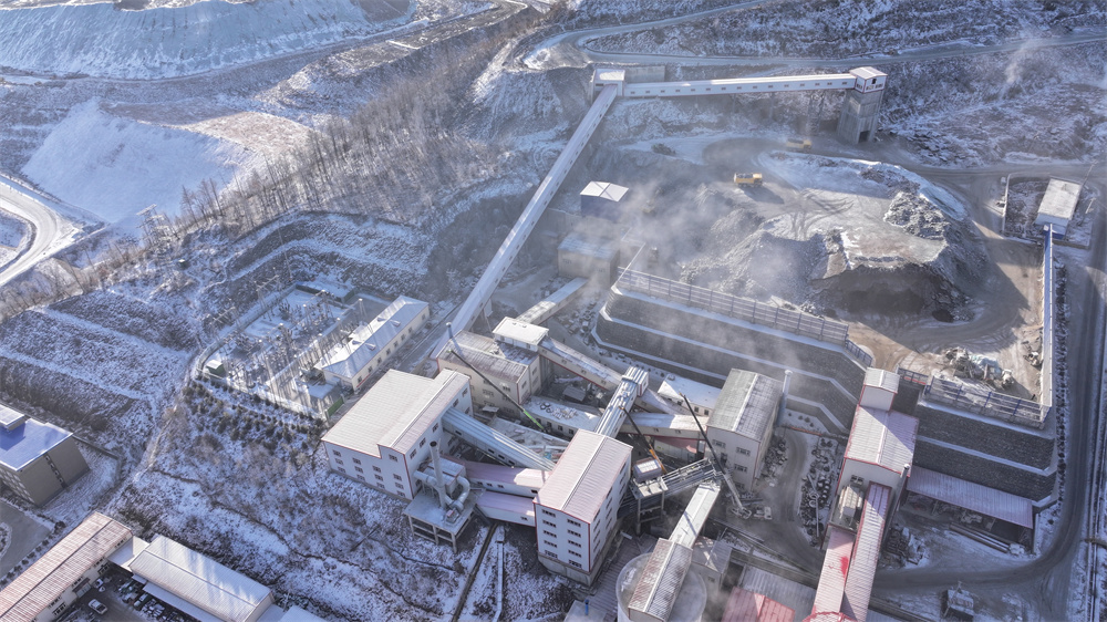 �����͹�ɭ��ҵˢ����Ŀ